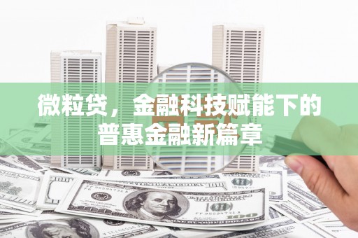 汉源微粒贷，金融科技赋能下的普惠金融新篇章