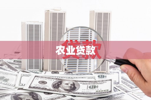 上林农业贷款