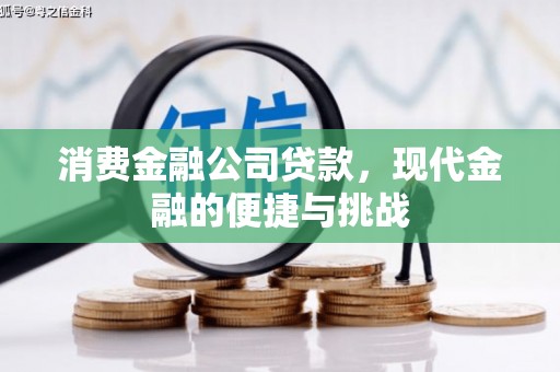 东乡族消费金融公司贷款，现代金融的便捷与挑战