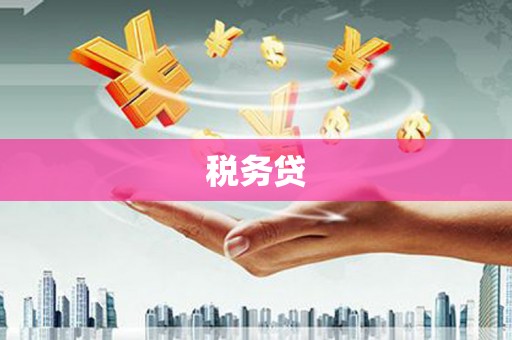 剑川税务贷