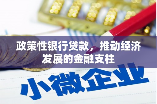 迪庆政策性银行贷款，推动经济发展的金融支柱