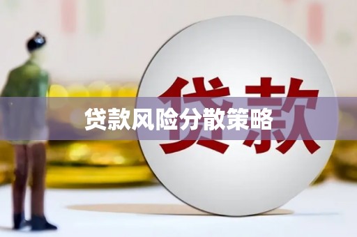 芦淞贷款风险分散策略