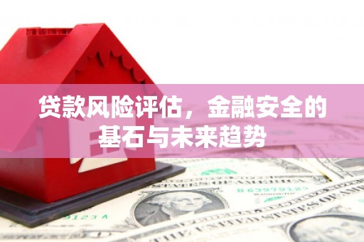 仙游贷款风险评估，金融安全的基石与未来趋势