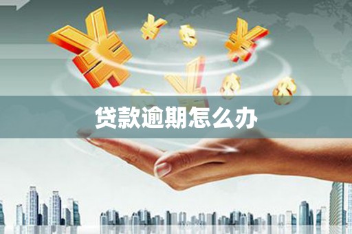 大名贷款逾期怎么办