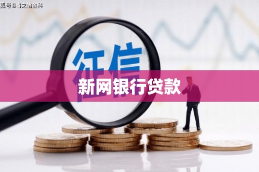 旬阳新网银行贷款