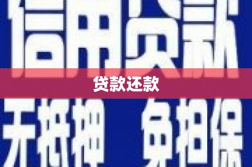宁晋贷款还款