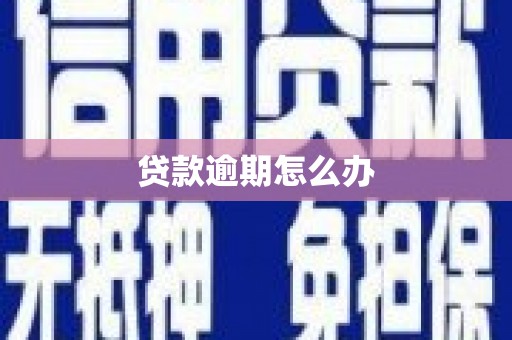 石龙贷款逾期怎么办