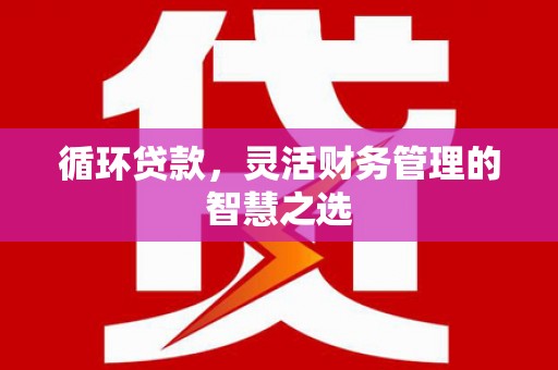 吕梁循环贷款，灵活财务管理的智慧之选