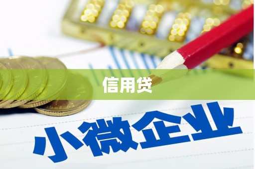 松溪信用贷