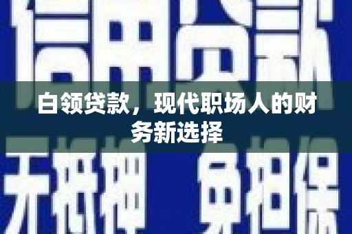 叶县白领贷款，现代职场人的财务新选择