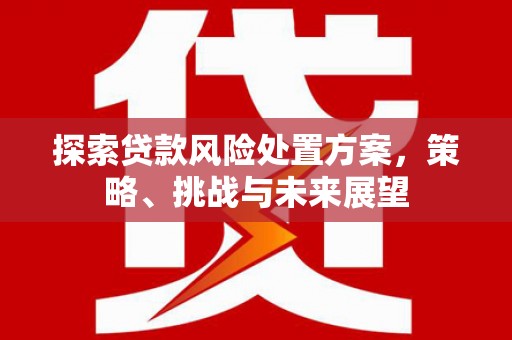 雷州探索贷款风险处置方案，策略、挑战与未来展望