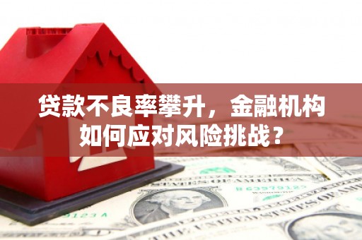 嘉黎贷款不良率攀升，金融机构如何应对风险挑战？