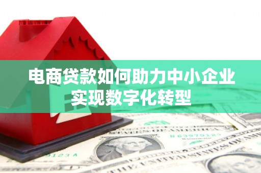 红星电商贷款如何助力中小企业实现数字化转型