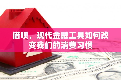 莱山借呗，现代金融工具如何改变我们的消费习惯