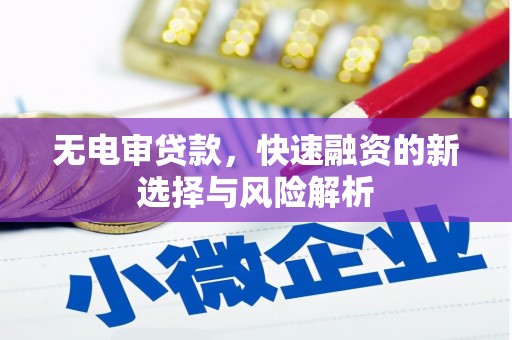 漳州无电审贷款，快速融资的新选择与风险解析