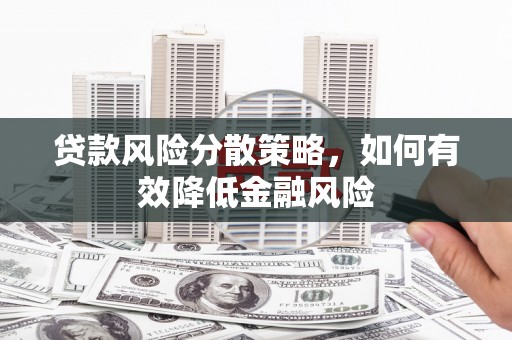 沙依巴克贷款风险分散策略，如何有效降低金融风险