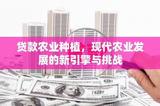 昌宁贷款农业种植，现代农业发展的新引擎与挑战