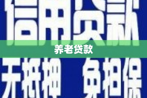 阜沙养老贷款