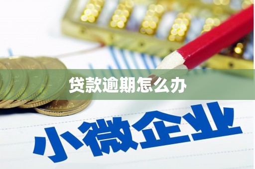 武江贷款逾期怎么办