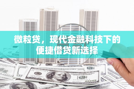 武隆微粒贷，现代金融科技下的便捷借贷新选择
