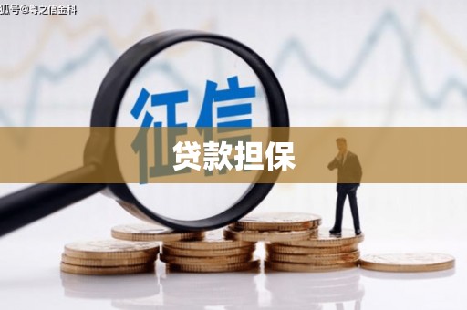 仙游贷款担保
