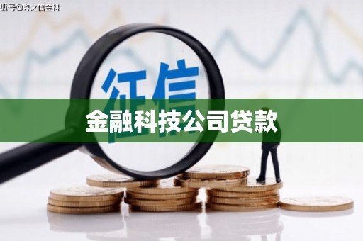 泸溪金融科技公司贷款