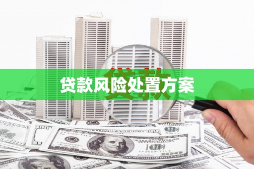 望谟贷款风险处置方案