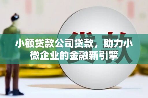 中原小额贷款公司贷款，助力小微企业的金融新引擎