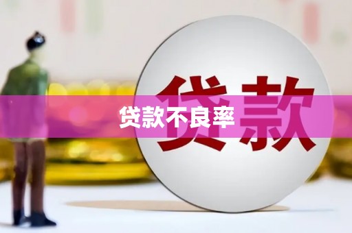 金阳贷款不良率