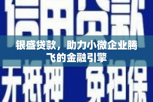 安乡银盛贷款，助力小微企业腾飞的金融引擎