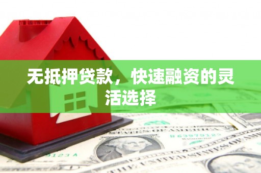 东明无抵押贷款，快速融资的灵活选择