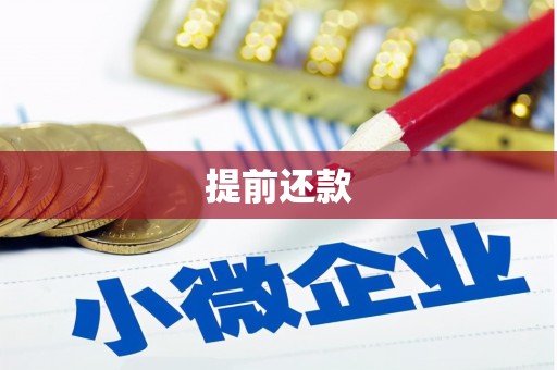 囊谦提前还款
