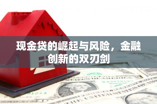 洛川现金贷的崛起与风险，金融创新的双刃剑