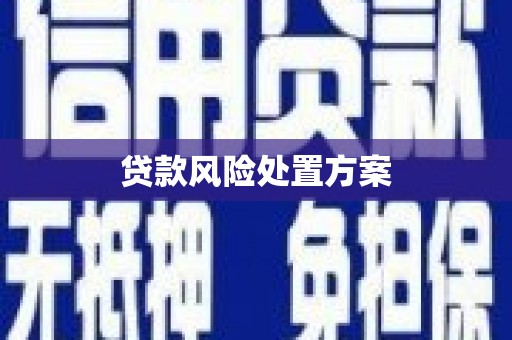 崆峒贷款风险处置方案