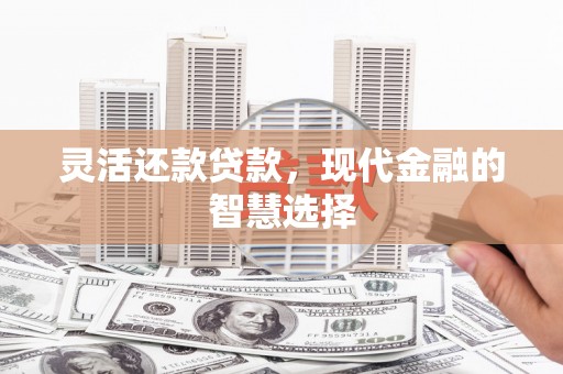 红寺堡灵活还款贷款，现代金融的智慧选择