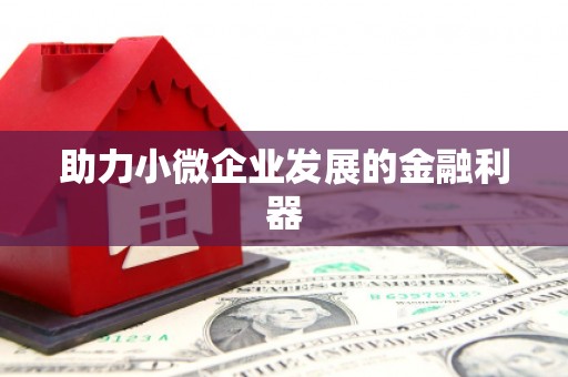 康马助力小微企业发展的金融利器