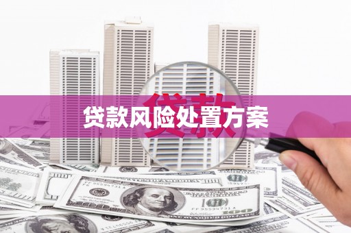 西吉贷款风险处置方案