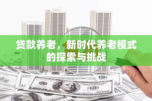 新蔡贷款养老，新时代养老模式的探索与挑战