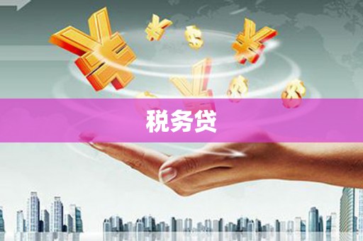 盐湖税务贷