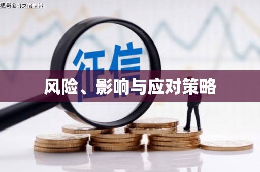 寻甸风险、影响与应对策略