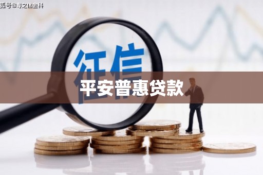 景东平安普惠贷款