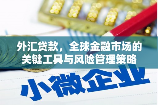 中方外汇贷款，全球金融市场的关键工具与风险管理策略