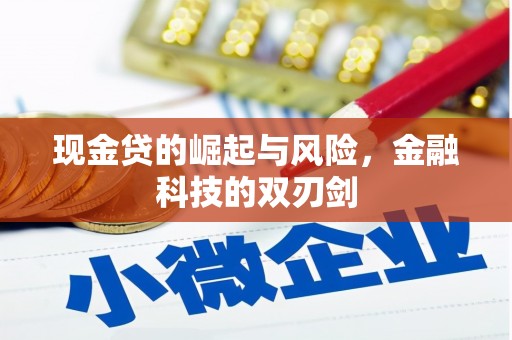 青州现金贷的崛起与风险，金融科技的双刃剑