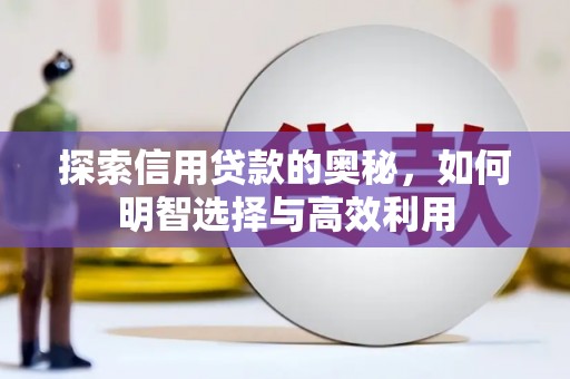 中站探索信用贷款的奥秘，如何明智选择与高效利用