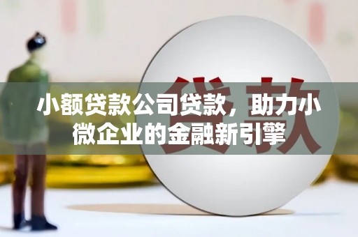 大兴安岭小额贷款公司贷款，助力小微企业的金融新引擎