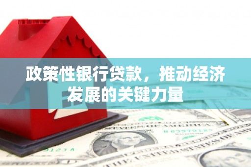 泾川政策性银行贷款，推动经济发展的关键力量