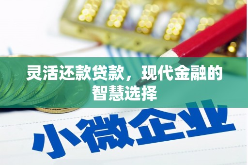 闵行灵活还款贷款，现代金融的智慧选择