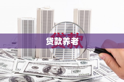高密贷款养老