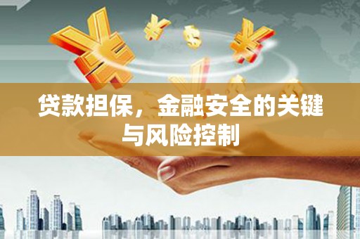 板桥贷款担保，金融安全的关键与风险控制
