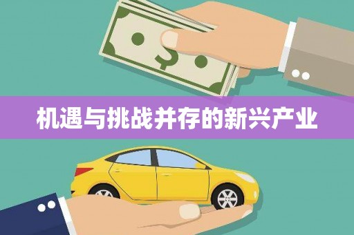 海陵机遇与挑战并存的新兴产业
